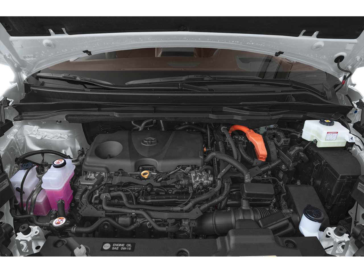 2025 Toyota Sienna Platinum 7 Passenger